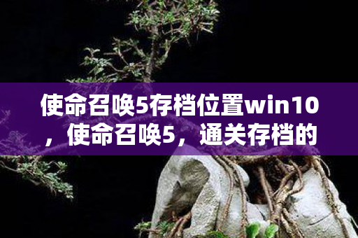 使命召唤5存档位置win10，使命召唤5，通关存档的珍贵回忆