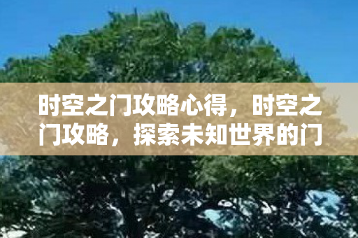 时空之门攻略心得,时空之门攻略,探索未知世界的门户 时空之门攻略心得,时空之门攻略,探索未知世界的门户