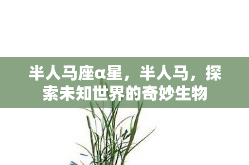 半人马座α星，半人马，探索未知世界的奇妙生物