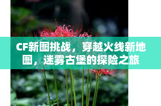 CF新图挑战,穿越火线新地图,迷雾古堡的探险之旅 CF新图挑战,穿越火线新地图,迷雾古堡的探险之旅