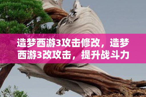 造梦西游3攻击修改，造梦西游3改攻击，提升战斗力的合法途径
