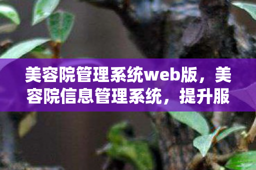 美容院管理系统web版,美容院信息管理系统,提升服务效率与顾客体验的关键 美容院管理系统web版,美容院信息管理系统,提升服务效率与顾客体验的关键