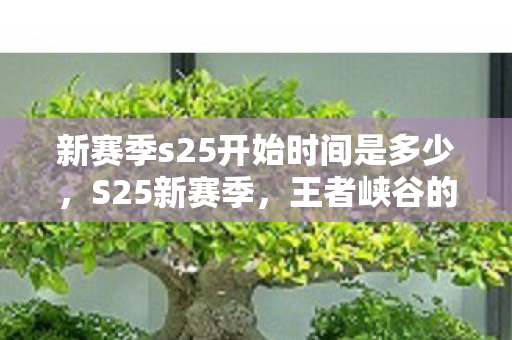 新赛季s25开始时间是多少,S25新赛季,王者峡谷的荣耀再燃 新赛季s25开始时间是多少,S25新赛季,王者峡谷的荣耀再燃