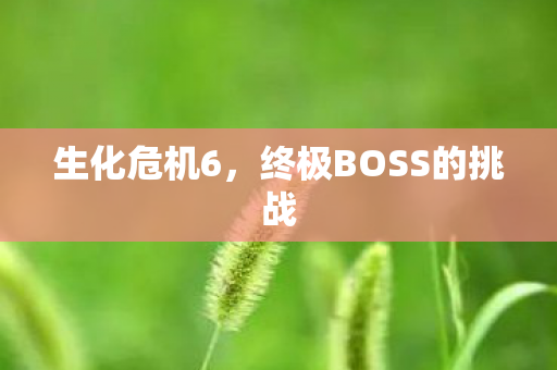 生化危机6,终极BOSS的挑战 生化危机6,终极BOSS的挑战