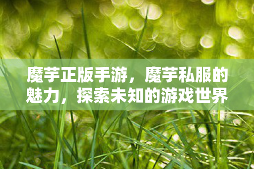 魔芋正版手游,魔芋私服的魅力,探索未知的游戏世界 魔芋正版手游,魔芋私服的魅力,探索未知的游戏世界