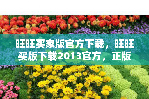 旺旺买家版官方下载,旺旺买版下载2013官方,正版资源,安心享受 旺旺买家版官方下载,旺旺买版下载2013官方,正版资源,安心享受