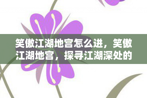 笑傲江湖地宫怎么进，笑傲江湖地宫，探寻江湖深处的神秘宝藏