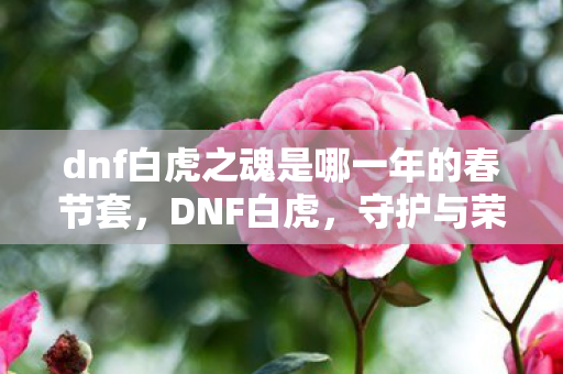 dnf白虎之魂是哪一年的春节套，DNF白虎，守护与荣耀的传奇