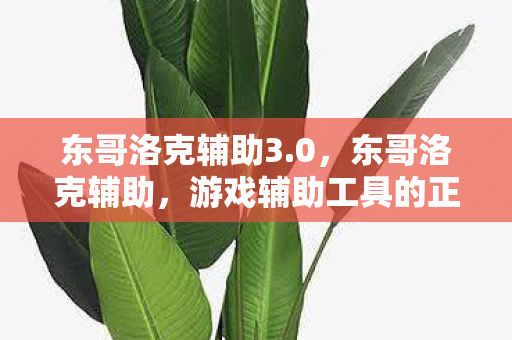 东哥洛克辅助3.0，东哥洛克辅助，游戏辅助工具的正确使用与注意事项