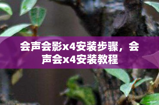 会声会影x4安装步骤,会声会x4安装教程 会声会影x4安装步骤,会声会x4安装教程