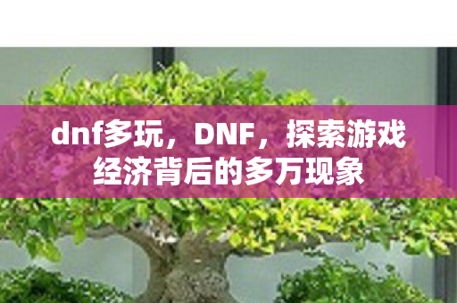 dnf多玩，DNF，探索游戏经济背后的多万现象