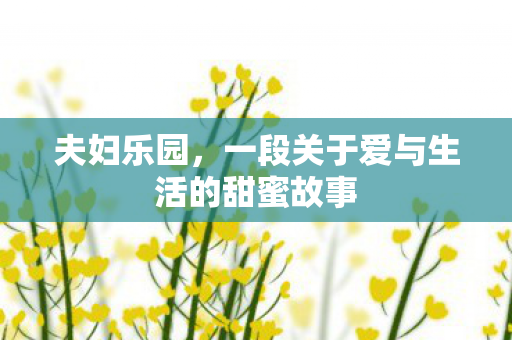 夫妇乐园,一段关于爱与生活的甜蜜故事 夫妇乐园,一段关于爱与生活的甜蜜故事