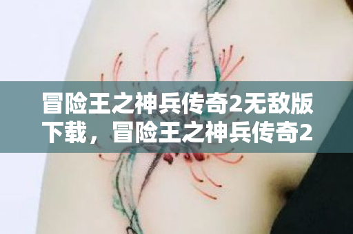 冒险王之神兵传奇2无敌版下载,冒险王之神兵传奇2无敌版,探索未知世界的奇幻之旅 冒险王之神兵传奇2无敌版下载,冒险王之神兵传奇2无敌版,探索未知世界的奇幻之旅