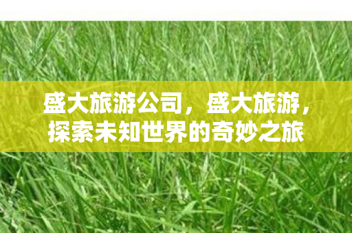 盛大旅游公司,盛大旅游,探索未知世界的奇妙之旅 盛大旅游公司,盛大旅游,探索未知世界的奇妙之旅