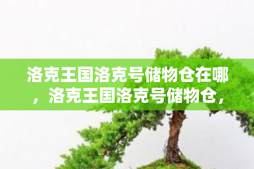 洛克王国洛克号储物仓在哪,洛克王国洛克号储物仓,探索虚拟世界的宝藏 洛克王国洛克号储物仓在哪,洛克王国洛克号储物仓,探索虚拟世界的宝藏