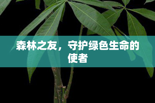 森林之友,守护绿色生命的使者 森林之友,守护绿色生命的使者