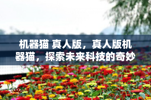 机器猫 真人版,真人版机器猫,探索未来科技的奇妙之旅 机器猫 真人版,真人版机器猫,探索未来科技的奇妙之旅