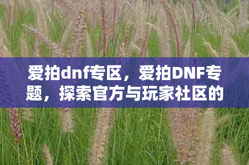 爱拍dnf专区,爱拍DNF专题,探索官方与玩家社区的互动新体验 爱拍dnf专区,爱拍DNF专题,探索官方与玩家社区的互动新体验