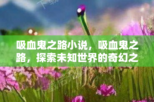 吸血鬼之路小说,吸血鬼之路,探索未知世界的奇幻之旅 吸血鬼之路小说,吸血鬼之路,探索未知世界的奇幻之旅