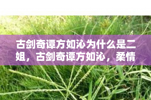 古剑奇谭方如沁为什么是二姐,古剑奇谭方如沁,柔情似水,情深意长 古剑奇谭方如沁为什么是二姐,古剑奇谭方如沁,柔情似水,情深意长
