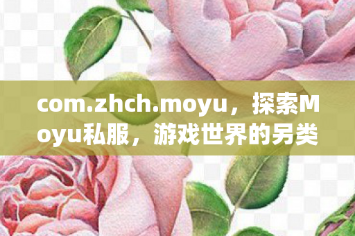 com.zhch.moyu，探索Moyu私服，游戏世界的另类维度