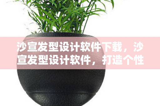 沙宣发型设计软件下载，沙宣发型设计软件，打造个性化发型的创意工具