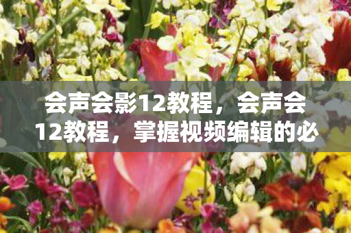 会声会影12教程,会声会12教程,掌握视频编辑的必备技能 会声会影12教程,会声会12教程,掌握视频编辑的必备技能