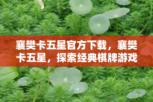 襄樊卡五星官方下载,襄樊卡五星,探索经典棋牌游戏的新体验 襄樊卡五星官方下载,襄樊卡五星,探索经典棋牌游戏的新体验