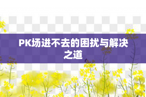 PK场进不去的困扰与解决之道 PK场进不去的困扰与解决之道