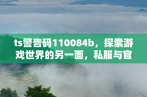 ts警告码110084b,探索游戏世界的另一面,私服与官方服务的差异与影响 ts警告码110084b,探索游戏世界的另一面,私服与官方服务的差异与影响