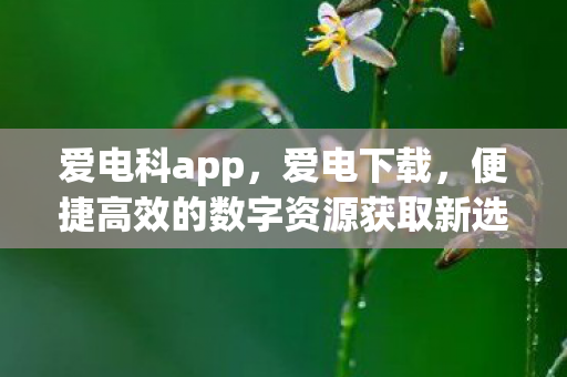 爱电科app,爱电下载,便捷高效的数字资源获取新选择 爱电科app,爱电下载,便捷高效的数字资源获取新选择