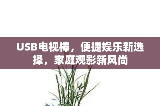 USB电视棒,便捷娱乐新选择,家庭观影新风尚 USB电视棒,便捷娱乐新选择,家庭观影新风尚