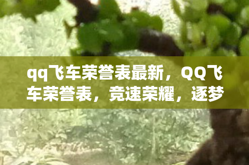 qq飞车荣誉表最新,QQ飞车荣誉表,竞速荣耀,逐梦车王 qq飞车荣誉表最新,QQ飞车荣誉表,竞速荣耀,逐梦车王