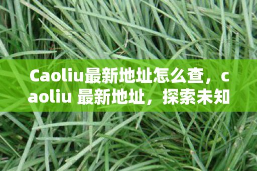 Caoliu最新地址怎么查,caoliu 最新地址,探索未知的数字娱乐新天地 Caoliu最新地址怎么查,caoliu 最新地址,探索未知的数字娱乐新天地