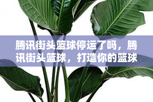 腾讯街头篮球停运了吗,腾讯街头篮球,打造你的篮球梦 腾讯街头篮球停运了吗,腾讯街头篮球,打造你的篮球梦