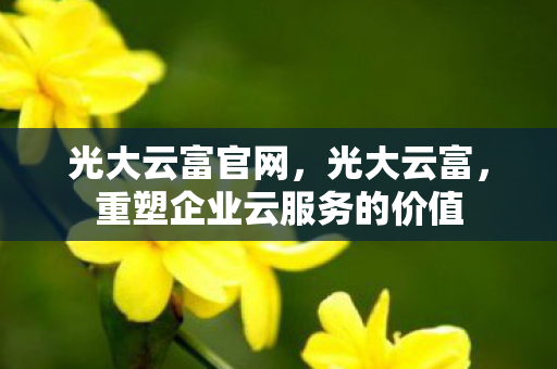 光大云富官网,光大云富,重塑企业云服务的价值 光大云富官网,光大云富,重塑企业云服务的价值