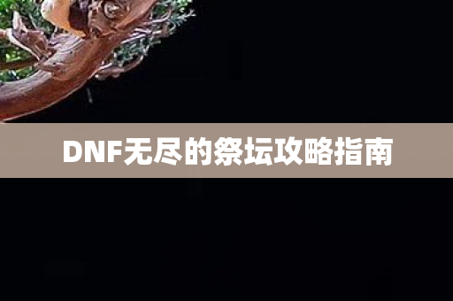 DNF无尽的祭坛攻略指南 DNF无尽的祭坛攻略指南