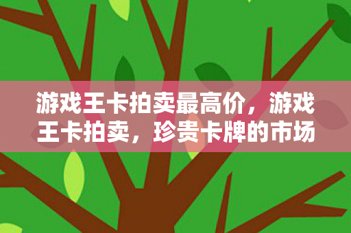 游戏王卡拍卖最高价，游戏王卡拍卖，珍贵卡牌的市场风云