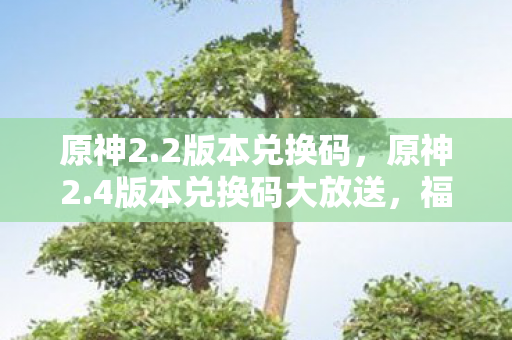 原神2.2版本兑换码,原神2.4版本兑换码大放送,福利满满不容错过! 原神2.2版本兑换码,原神2.4版本兑换码大放送,福利满满不容错过!