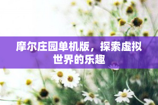 摩尔庄园单机版,探索虚拟世界的乐趣 摩尔庄园单机版,探索虚拟世界的乐趣