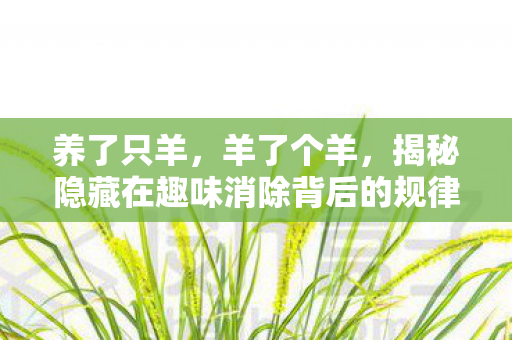 养了只羊,羊了个羊,揭秘隐藏在趣味消除背后的规律 养了只羊,羊了个羊,揭秘隐藏在趣味消除背后的规律
