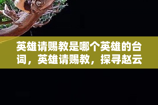 英雄请赐教是哪个英雄的台词，英雄请赐教，探寻赵云的传奇之路
