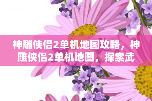 神雕侠侣2单机地图攻略，神雕侠侣2单机地图，探索武侠世界的奇妙之旅