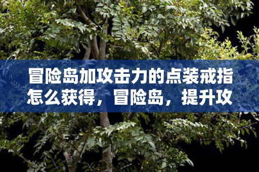 冒险岛加攻击力的点装戒指怎么获得，冒险岛，提升攻击力的点装全解析