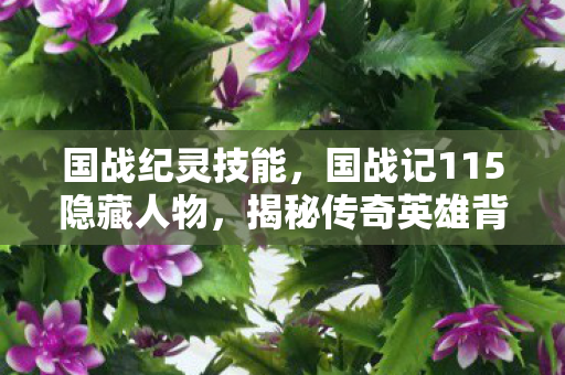 国战纪灵技能,国战记115隐藏人物,揭秘传奇英雄背后的传奇故事 国战纪灵技能,国战记115隐藏人物,揭秘传奇英雄背后的传奇故事