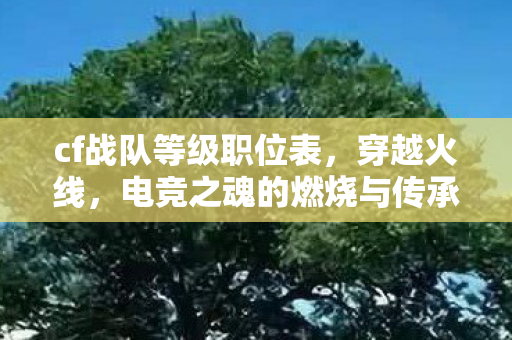 cf战队等级职位表，穿越火线，电竞之魂的燃烧与传承