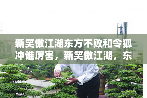 新笑傲江湖东方不败和令狐冲谁厉害,新笑傲江湖,东方不败与令狐冲的武侠奇缘 新笑傲江湖东方不败和令狐冲谁厉害,新笑傲江湖,东方不败与令狐冲的武侠奇缘