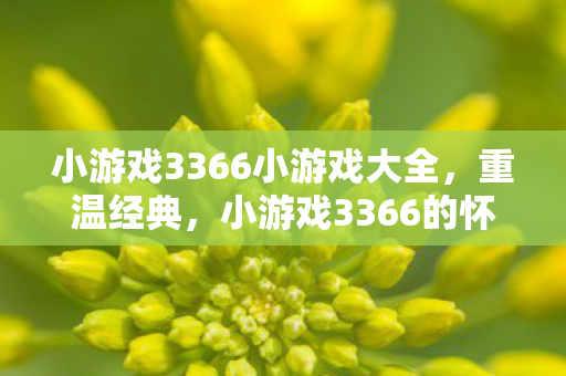 小游戏3366小游戏大全,重温经典,小游戏3366的怀旧时光 小游戏3366小游戏大全,重温经典,小游戏3366的怀旧时光