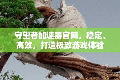 守望者加速器官网，稳定、高效，打造极致游戏体验