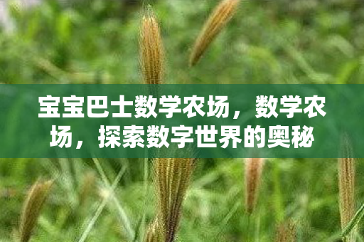 宝宝巴士数学农场，数学农场，探索数字世界的奥秘